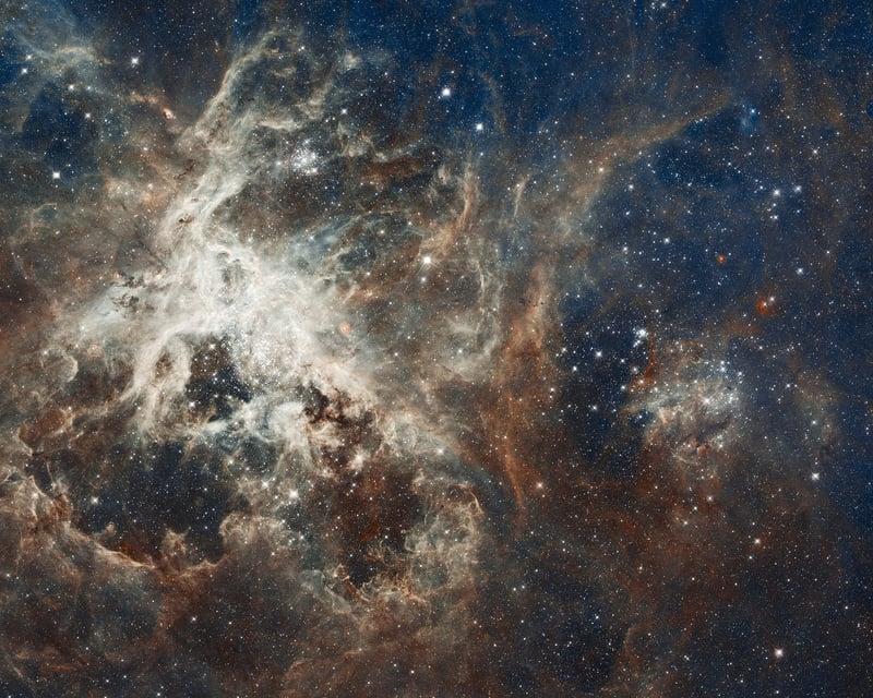 Cosmic Web